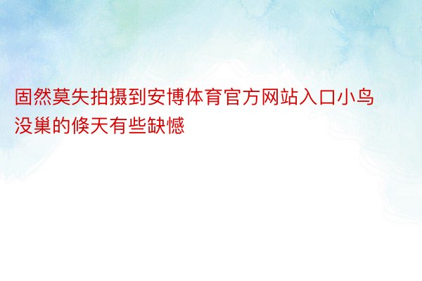 固然莫失拍摄到安博体育官方网站入口小鸟没巢的倏天有些缺憾