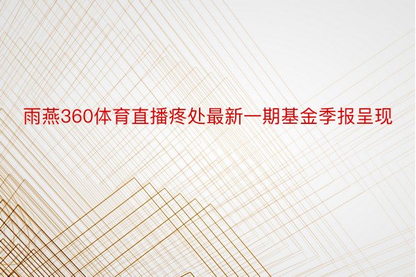 雨燕360体育直播疼处最新一期基金季报呈现