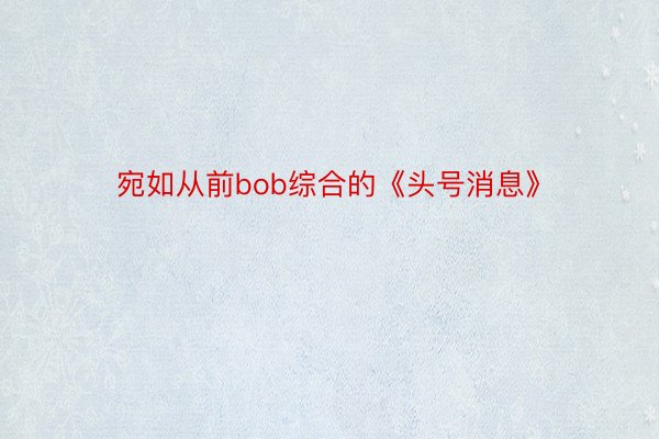 宛如从前bob综合的《头号消息》