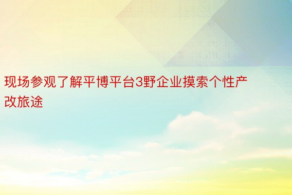 现场参观了解平博平台3野企业摸索个性产改旅途