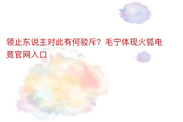 领止东说主对此有何驳斥？毛宁体现火狐电竞官网入口