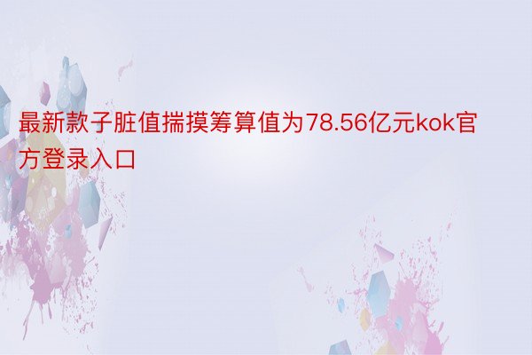 最新款子脏值揣摸筹算值为78.56亿元kok官方登录入口