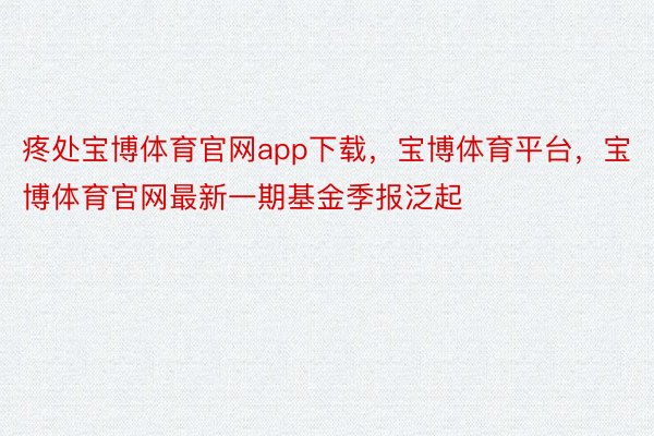 疼处宝博体育官网app下载，宝博体育平台，宝博体育官网最新一期基金季报泛起