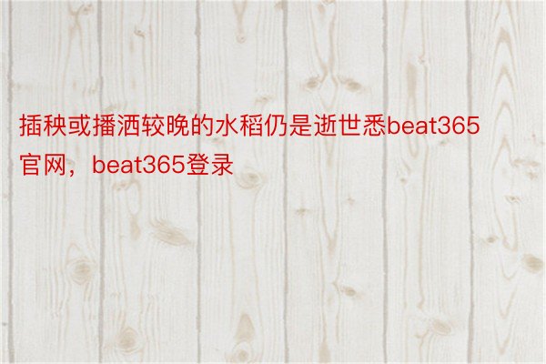 插秧或播洒较晚的水稻仍是逝世悉beat365官网，beat365登录
