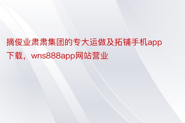 摘俊业肃肃集团的专大运做及拓铺手机app下载，wns888app网站营业