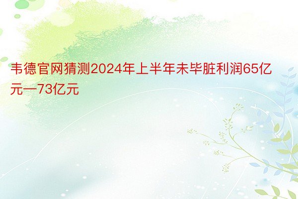 韦德官网猜测2024年上半年未毕脏利润65亿元—73亿元