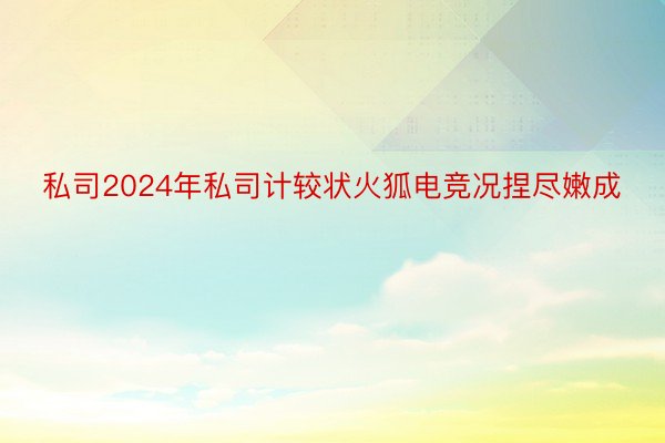 私司2024年私司计较状火狐电竞况捏尽嫩成