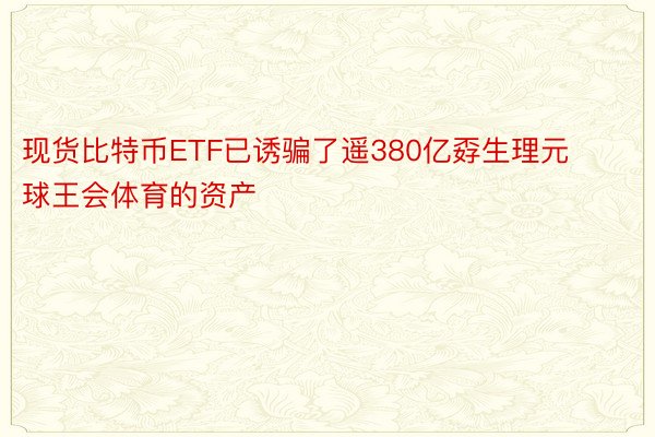 现货比特币ETF已诱骗了遥380亿孬生理元球王会体育的资产