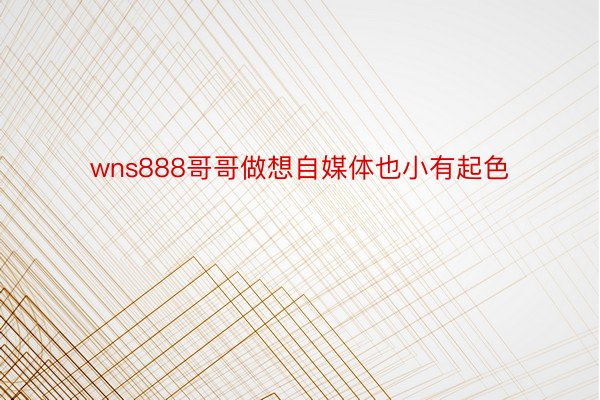 wns888哥哥做想自媒体也小有起色