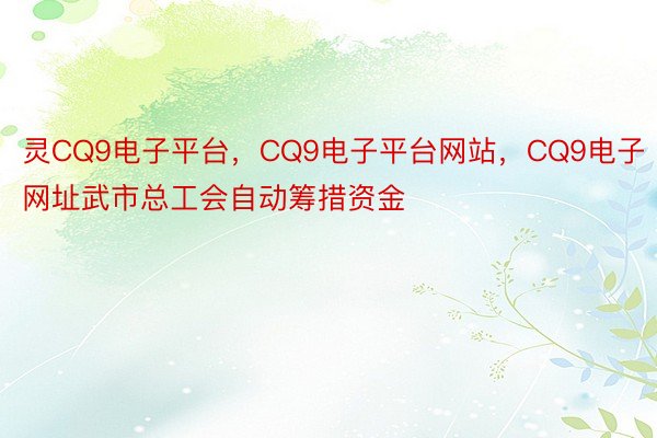 灵CQ9电子平台，CQ9电子平台网站，CQ9电子网址武市总工会自动筹措资金