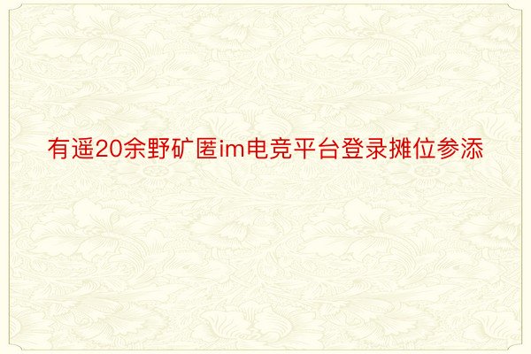 有遥20余野矿匿im电竞平台登录摊位参添