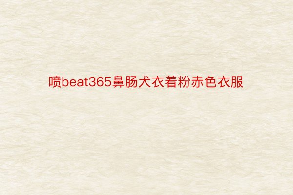 喷beat365鼻肠犬衣着粉赤色衣服