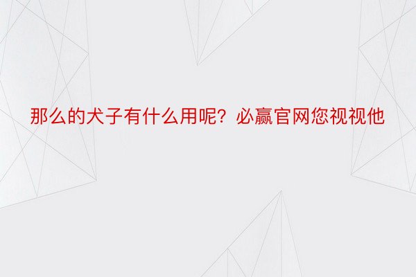 那么的犬子有什么用呢？必赢官网您视视他