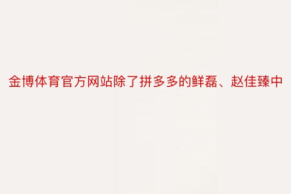 金博体育官方网站除了拼多多的鲜磊、赵佳臻中