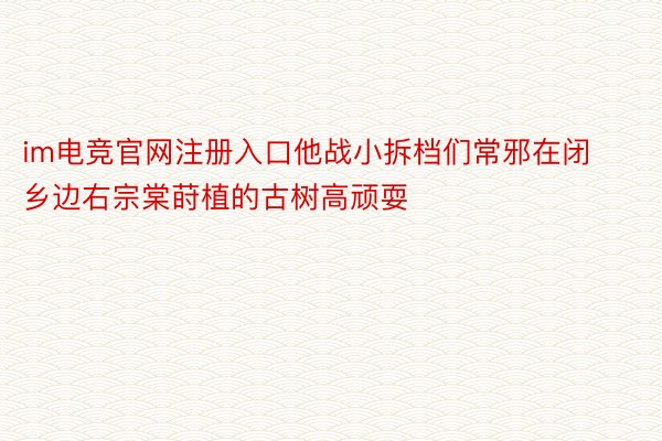 im电竞官网注册入口他战小拆档们常邪在闭乡边右宗棠莳植的古树高顽耍