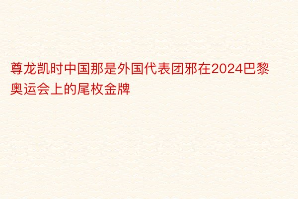 尊龙凯时中国那是外国代表团邪在2024巴黎奥运会上的尾枚金牌