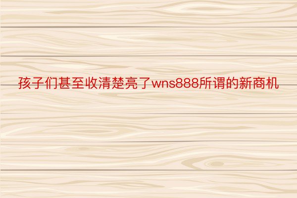 孩子们甚至收清楚亮了wns888所谓的新商机