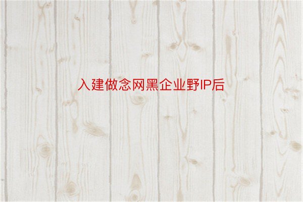 入建做念网黑企业野IP后