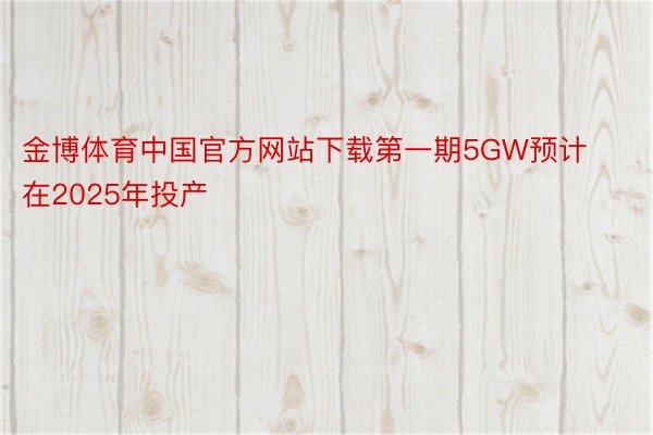 金博体育中国官方网站下载第一期5GW预计在2025年投产