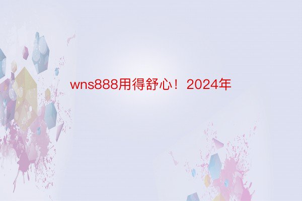 wns888用得舒心！2024年