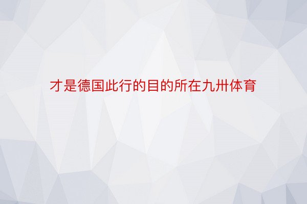 才是德国此行的目的所在九卅体育