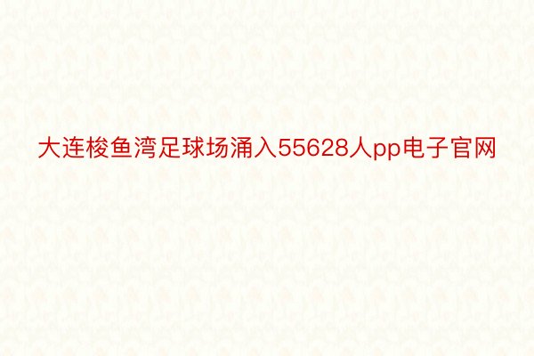 大连梭鱼湾足球场涌入55628人pp电子官网